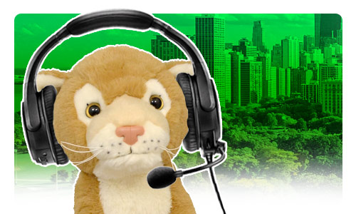 Plush toy lioness with headset on a green background