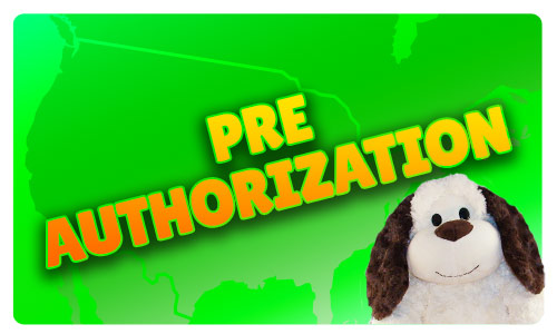 pre-authorization text over a green background and a plush toy dog